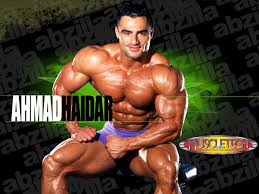 pro body builder