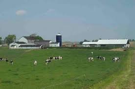 dairy farm