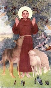 saint francis