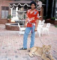 the jacksons the american dream