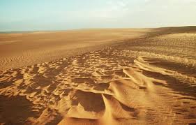 Sahara
