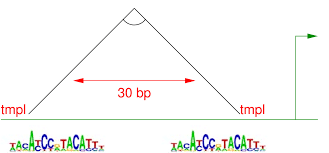 example of hypothesis