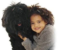dog kids