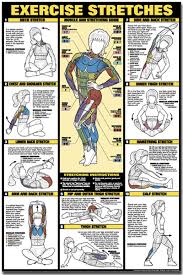 back stretching exercise