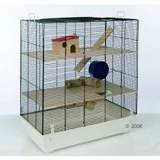 cage rongeur