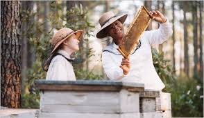 secret live of bees