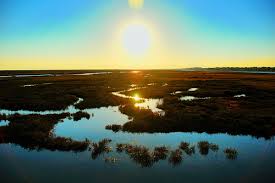 ria formosa algarve