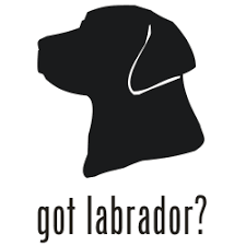labrador stickers