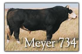 meyer 734