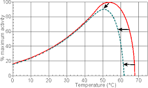 effect of temperature on enzyme activity