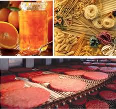 food process