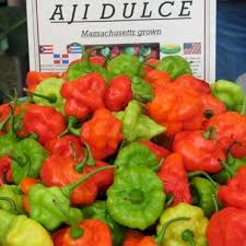 cubanelle peppers
