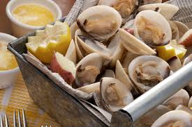 steamed clams