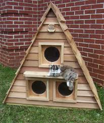 cool cat houses