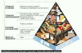 la piramide alimentaria