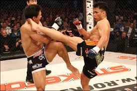 mma fans