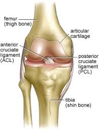 acl