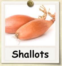 shallot seed