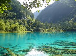 nature pictures