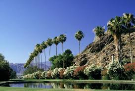 soul vibration in california