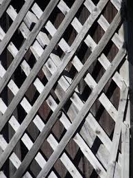 patio privacy ideas