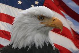 bald eagle flag