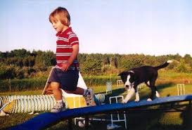 puppy agility