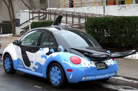 Shamu the Beetle