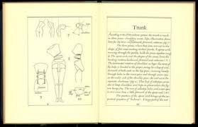 dwiggins marionettes
