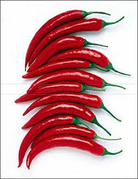 hot chilli