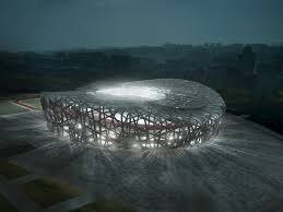 bird nest