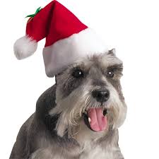 christmas santa hat