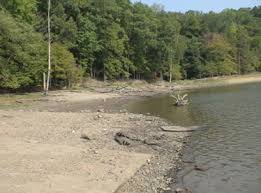 occoquan shad