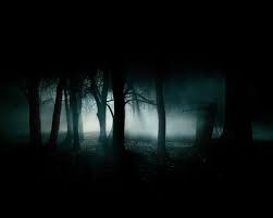 in the dark dark woods