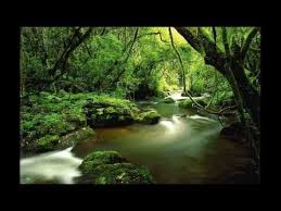 deva premal into silence