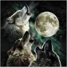 3 wolf t shirt