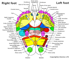 detoxify foot pads