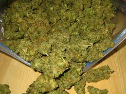 legal spice