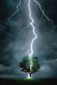 lightning striking a tree