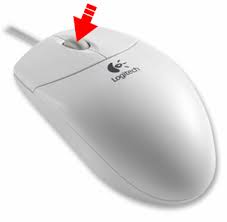 scroll wheel mouse
