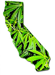 California Dems Endorse Pot