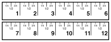 12 inch ruler
