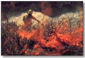 forest fire fighter