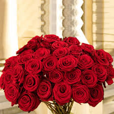 love roses