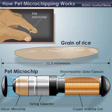 microchip pic