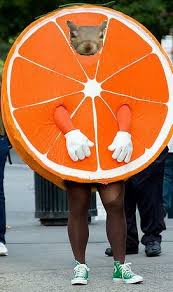 orange fruit costume