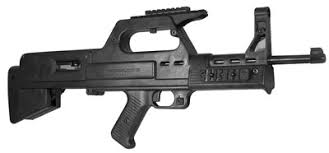 ruger 10 22 stocks