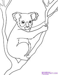 how to draw wild animals