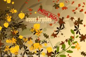 pictures of leaves