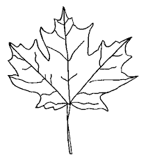 printable plant disgrams